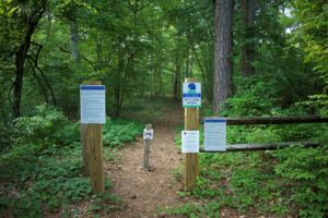 Exploring Kitty Hawk Woods Nature Preserve