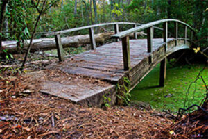 Hiking The Outer Banks?